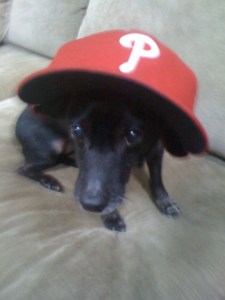 Buddy the Phillies Fan
