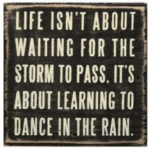 Life Isn't About Waiting For The Storm To Pass by Vivian Greene
